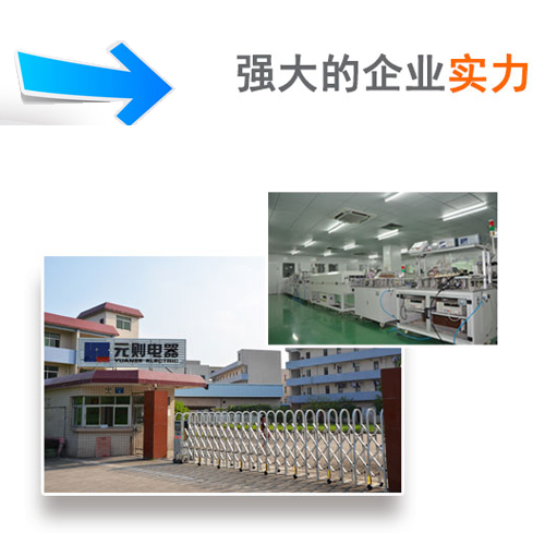 【元則資訊】不一樣的廣東汽車繼電器！